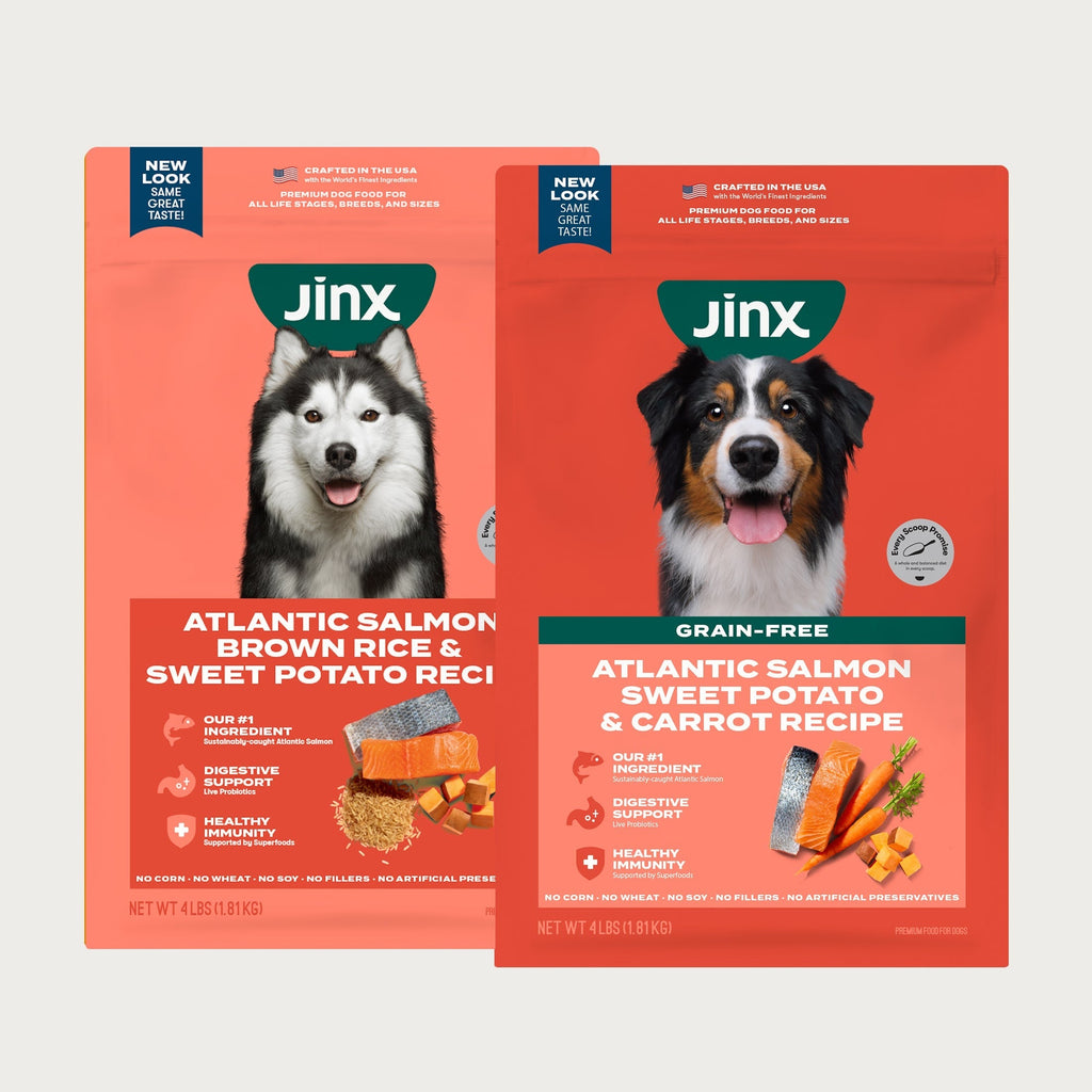 Atlantic Salmon Dog Food Sampler