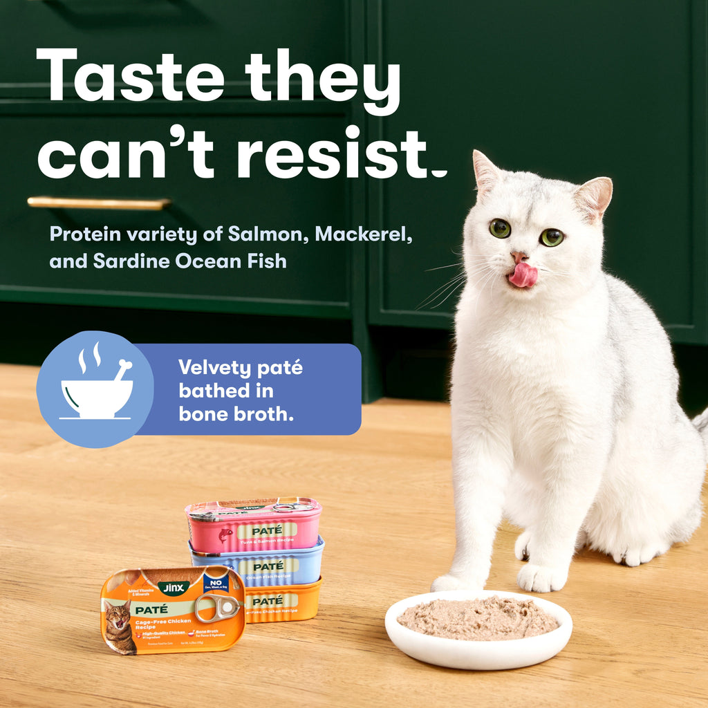 Ocean Fish Cat Paté
