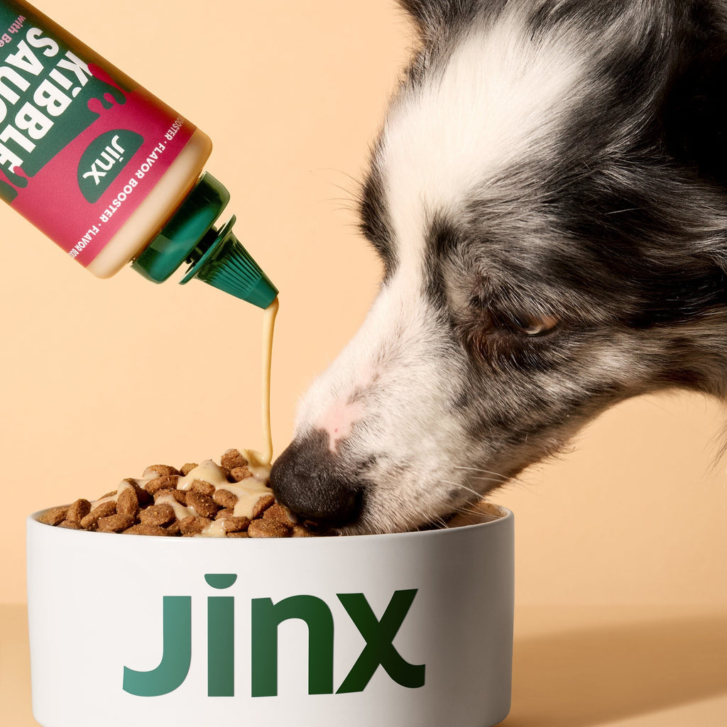 Beef Kibble Sauce
