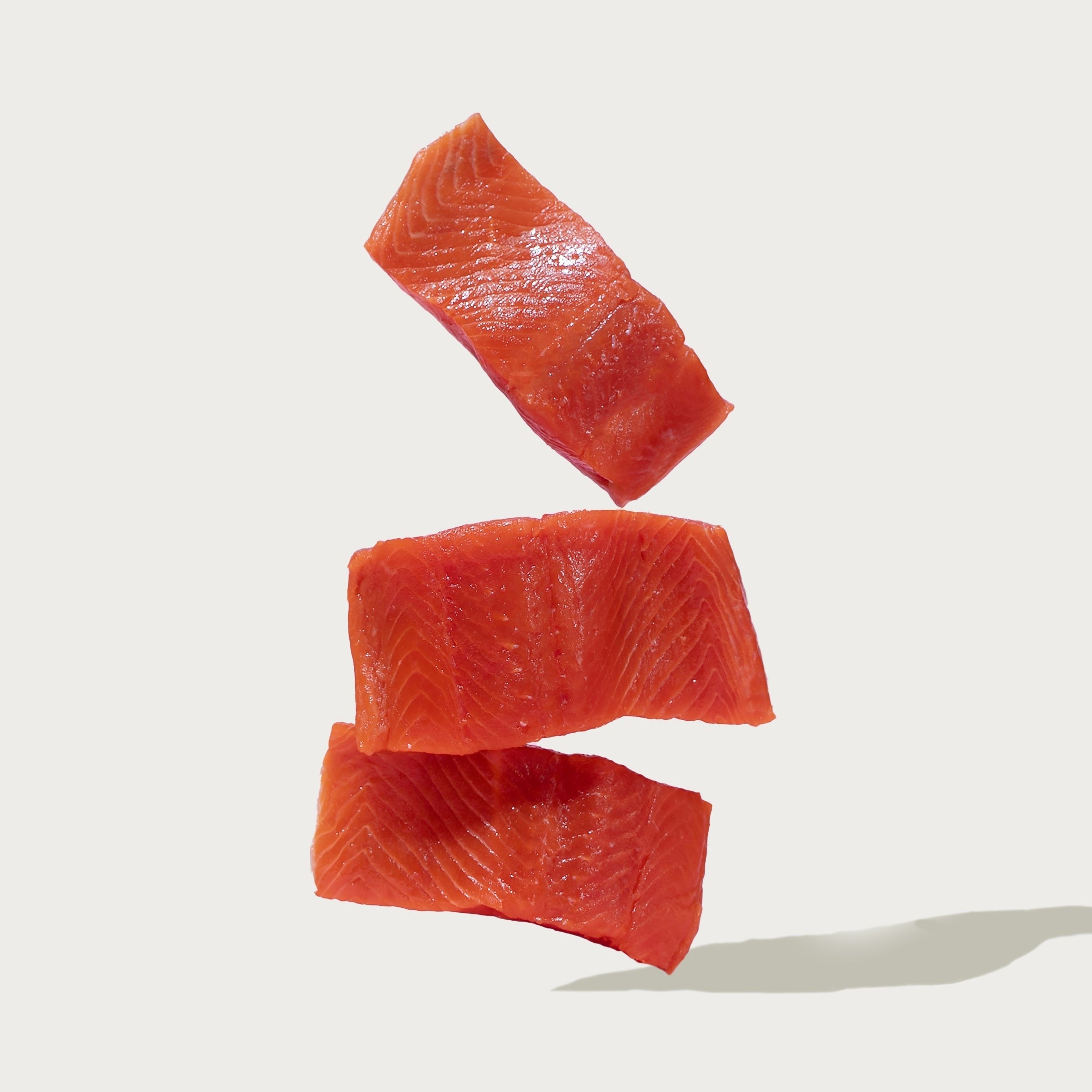 Salmon Bone Broth Biscuits