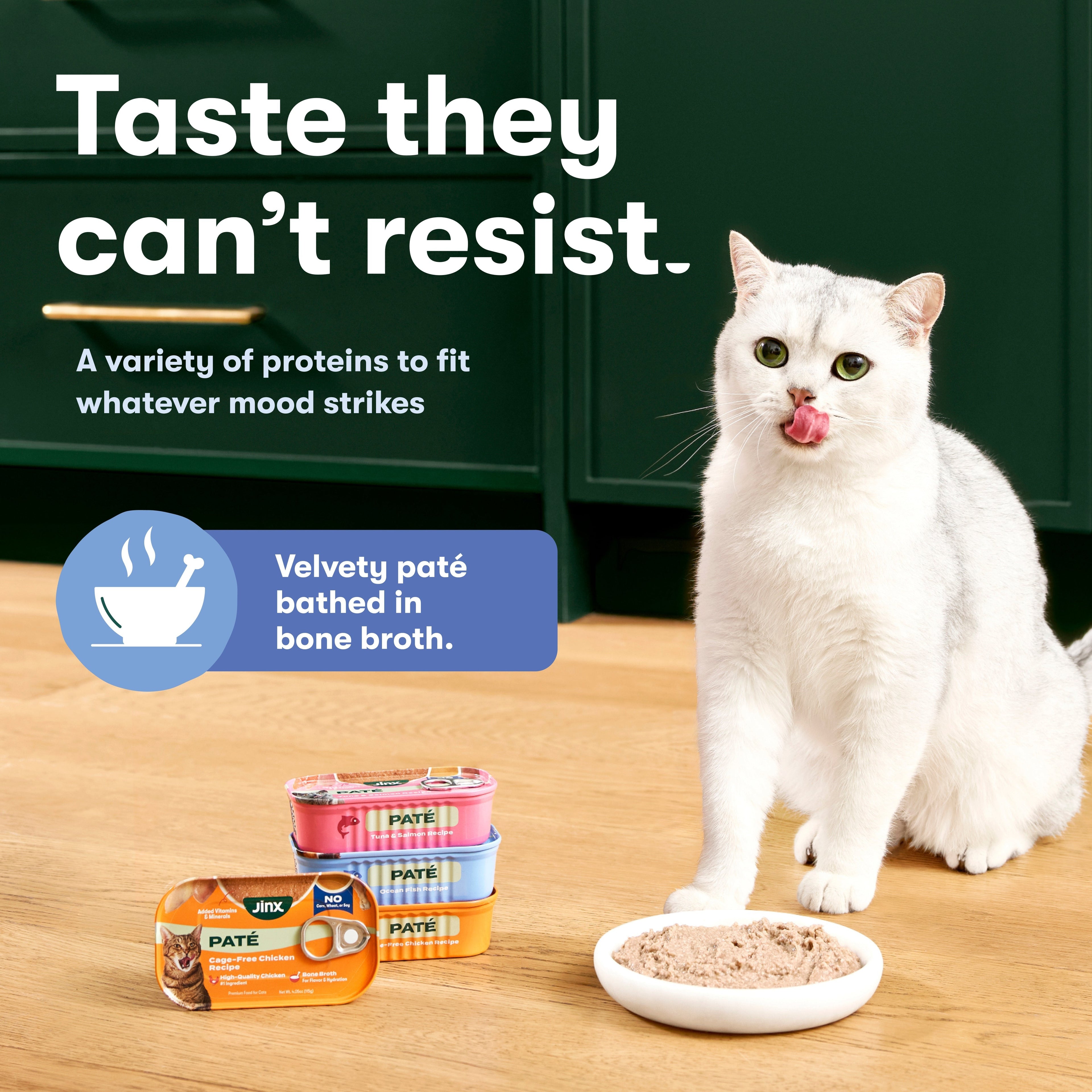 Variety Pack Cat Paté