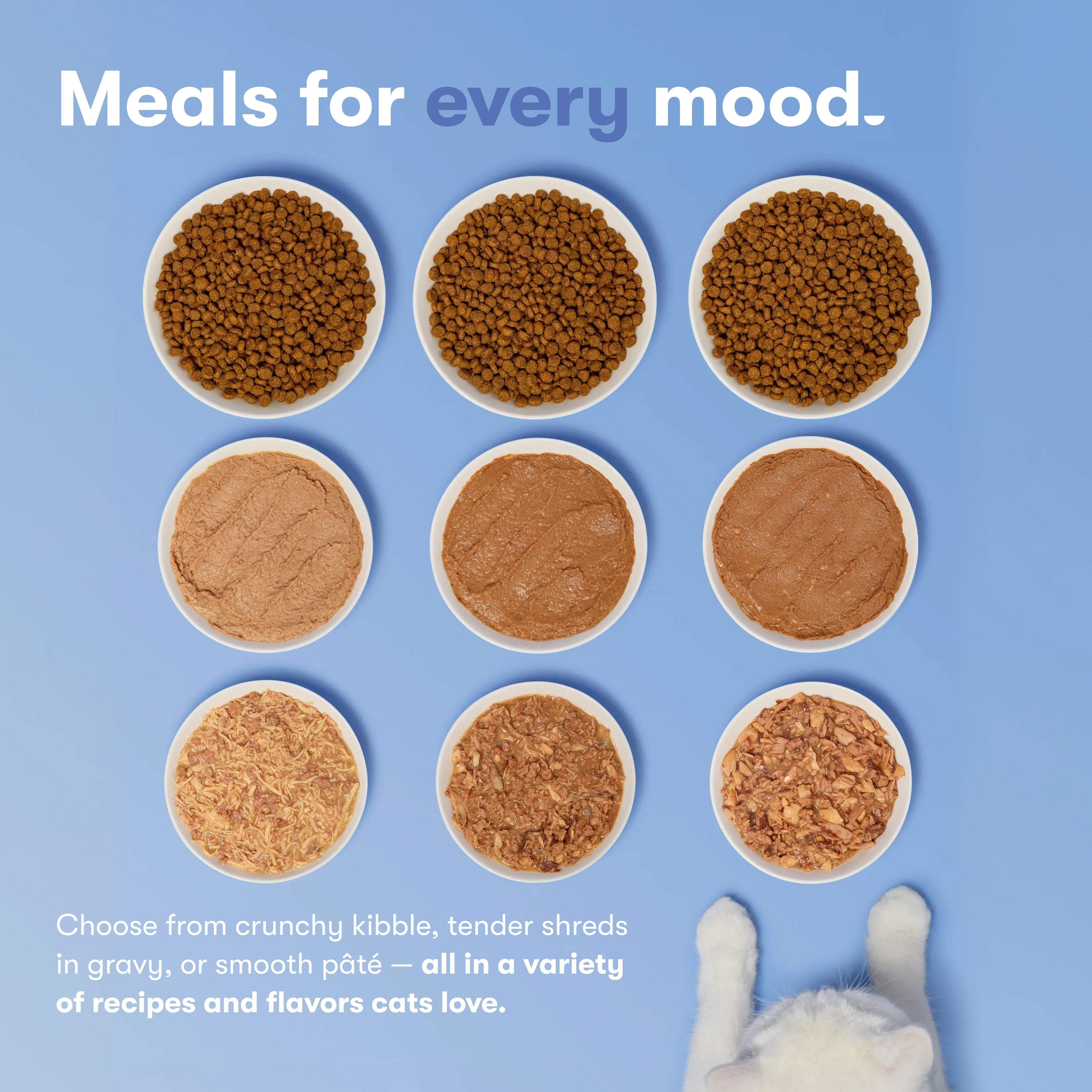 Atlantic Salmon, Ocean Fish, & Pollock Dry Cat Food