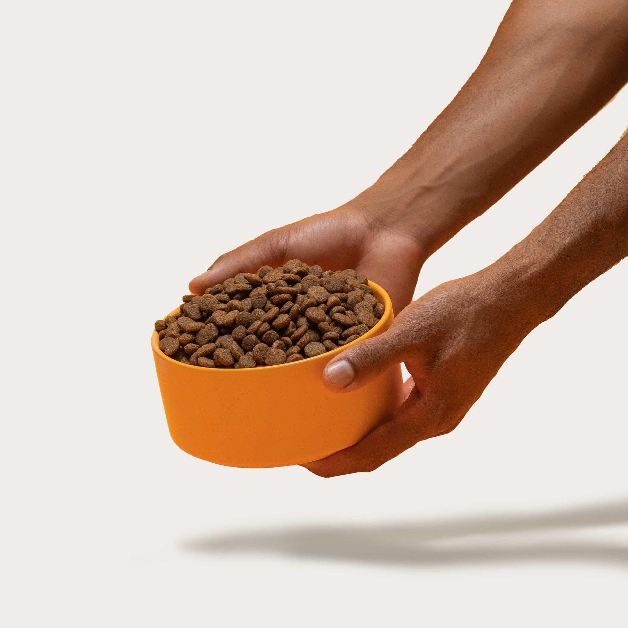 Senior Cage-Free Chicken Dog Food