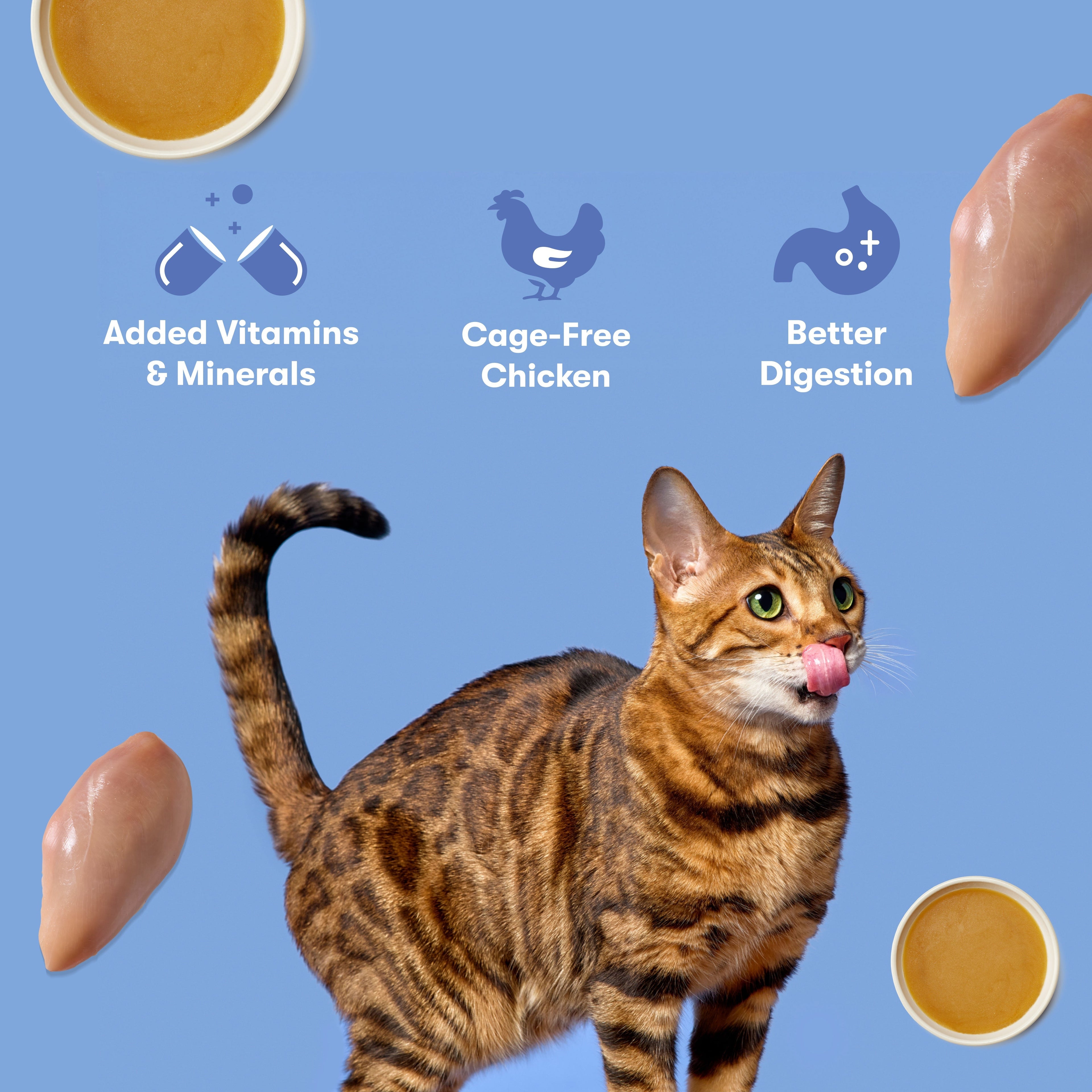 Cage-Free Chicken Cat Paté