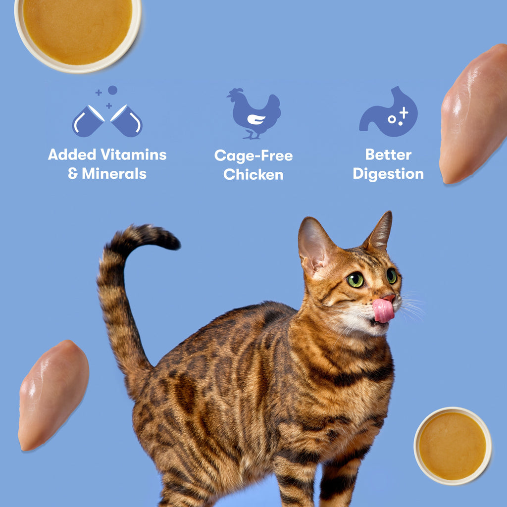 Cage-Free Chicken Cat Paté