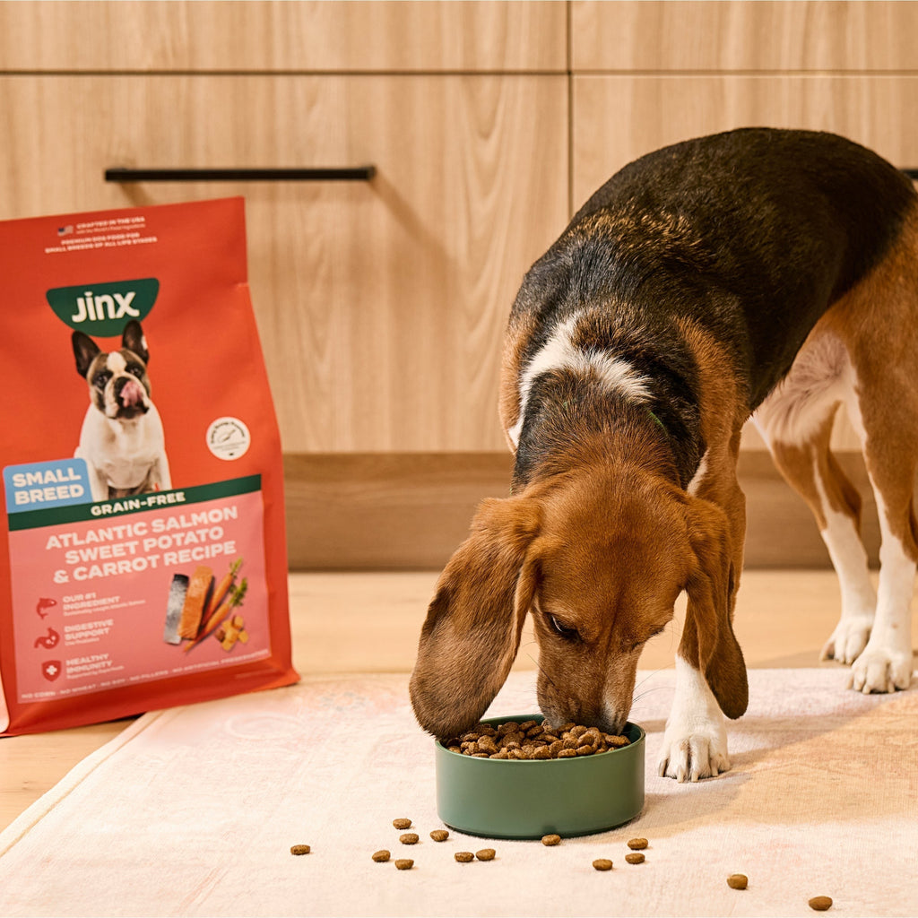 Small Breed Grain-Free Atlantic Salmon Dog Food