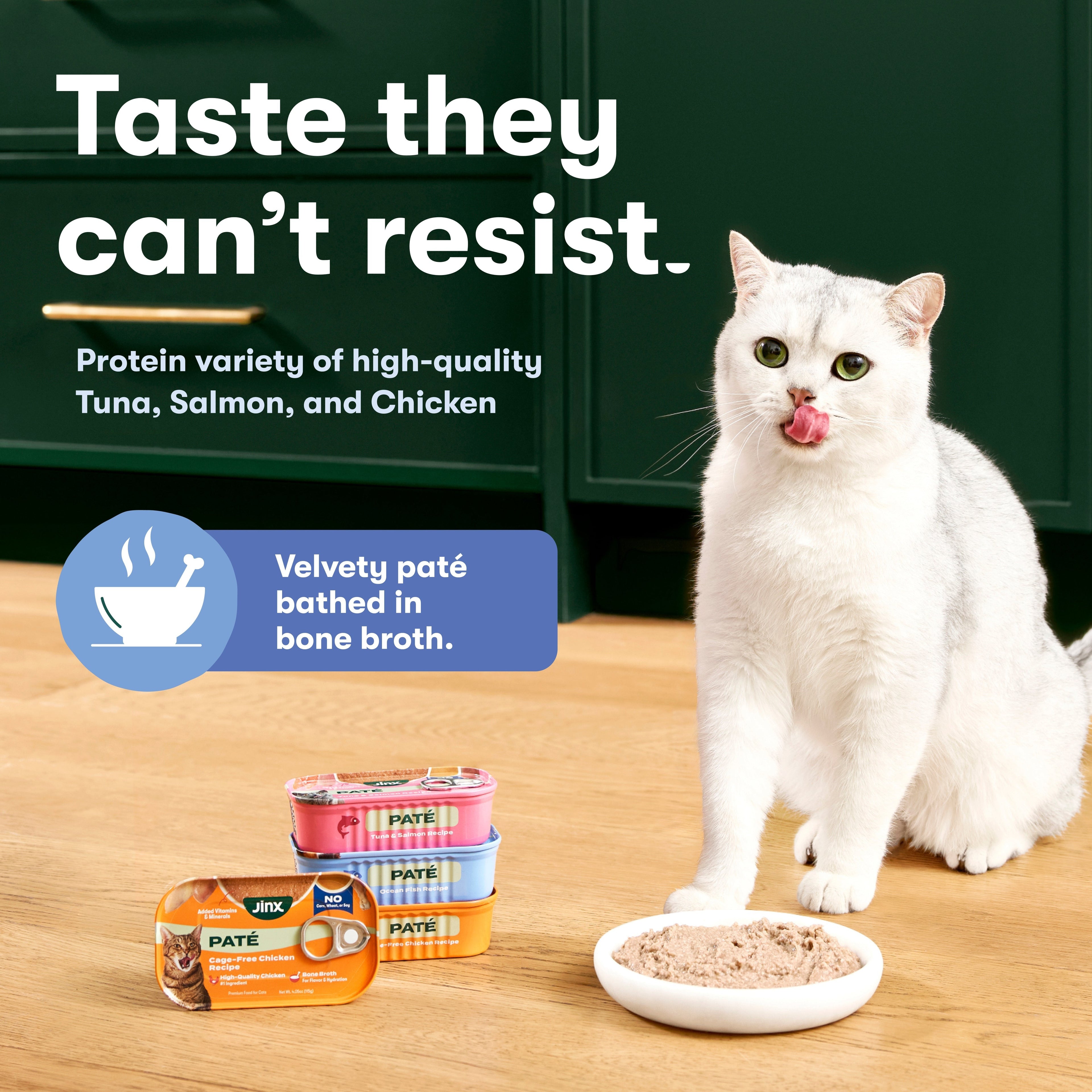 Tuna & Salmon Cat Paté