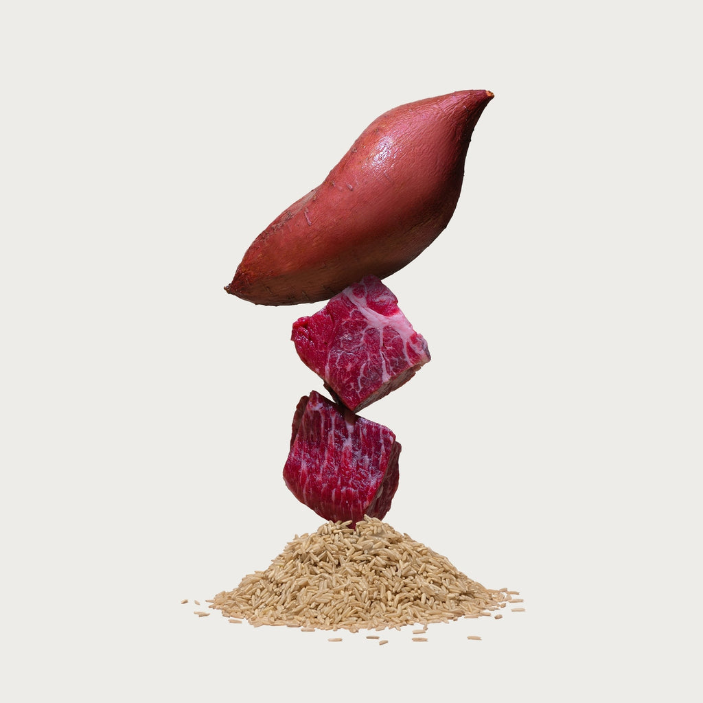 Large Breed Grass-Fed Beef Dog Food