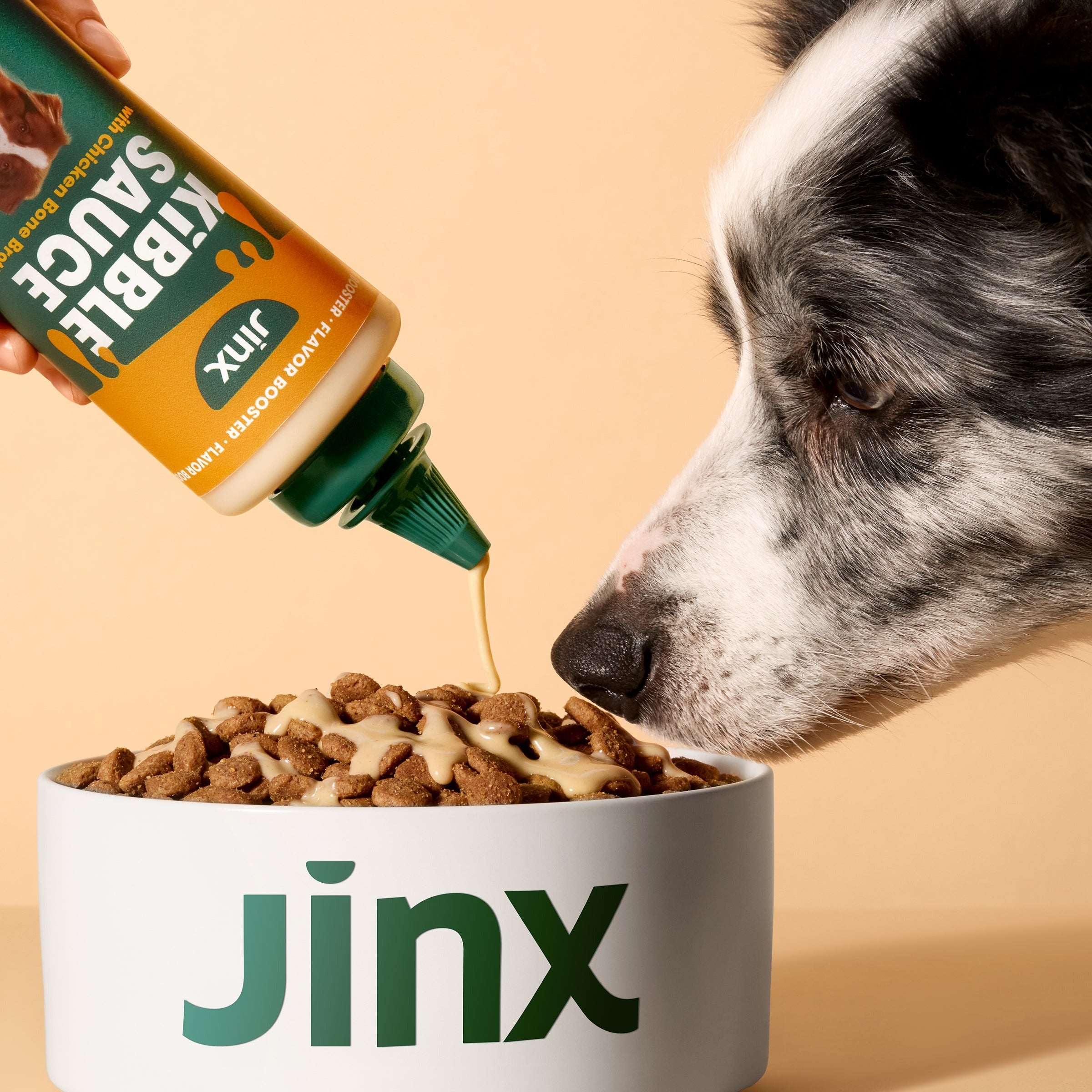Chicken Kibble Sauce