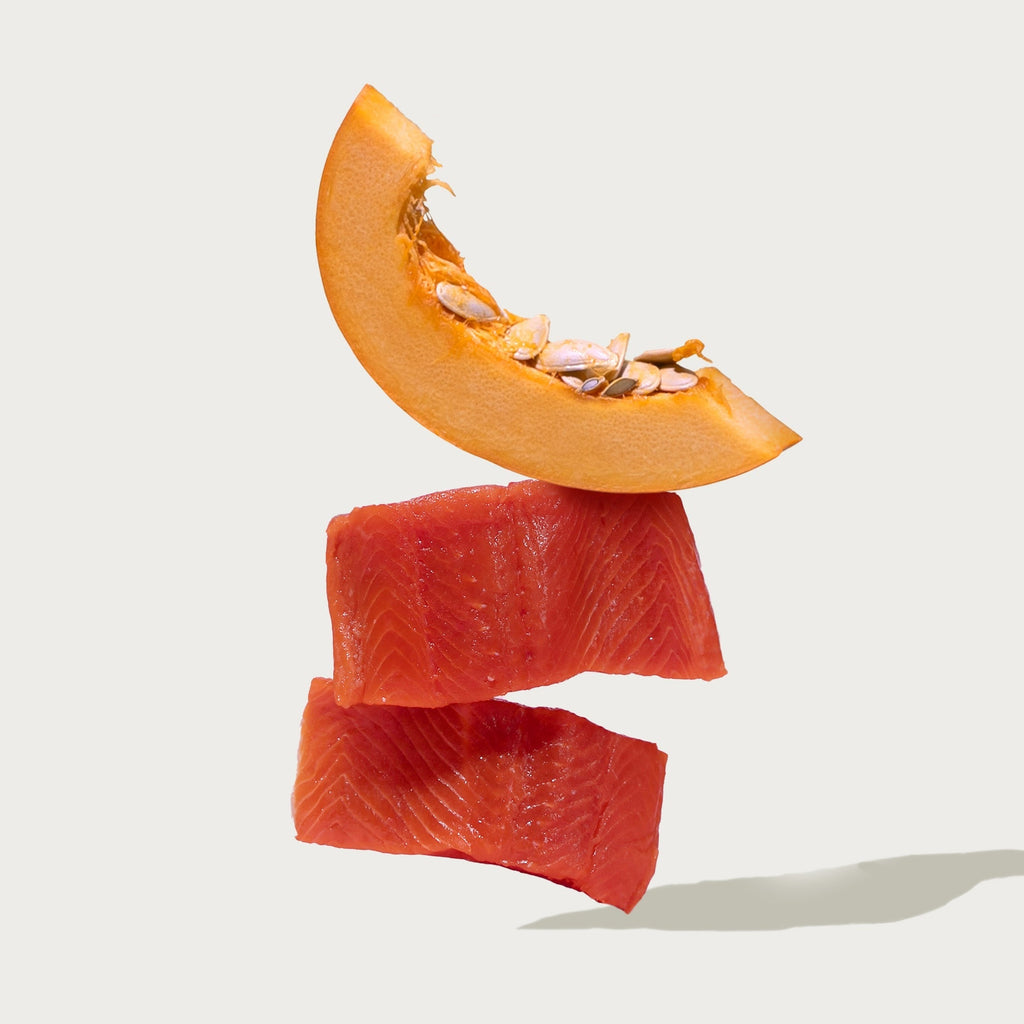 Salmon & Pumpkin Topper
