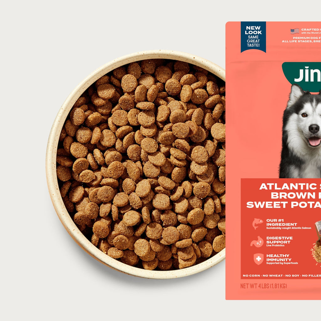 Salmon and Chicken Build Their Best Bowl Bundle