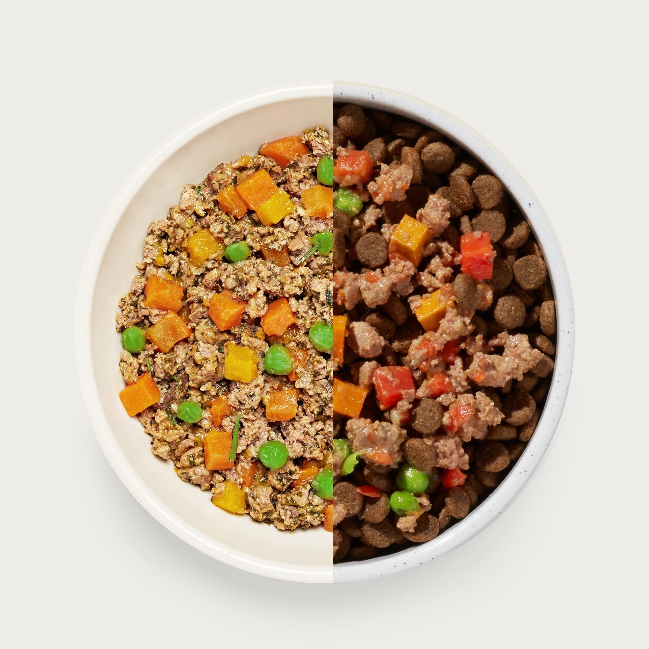 Homemades Wet Dog Food Sampler Pack