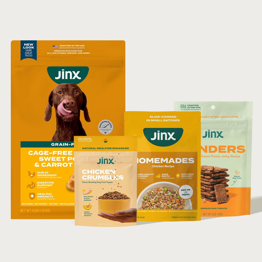 Picky Dog Essentials Starter Pack