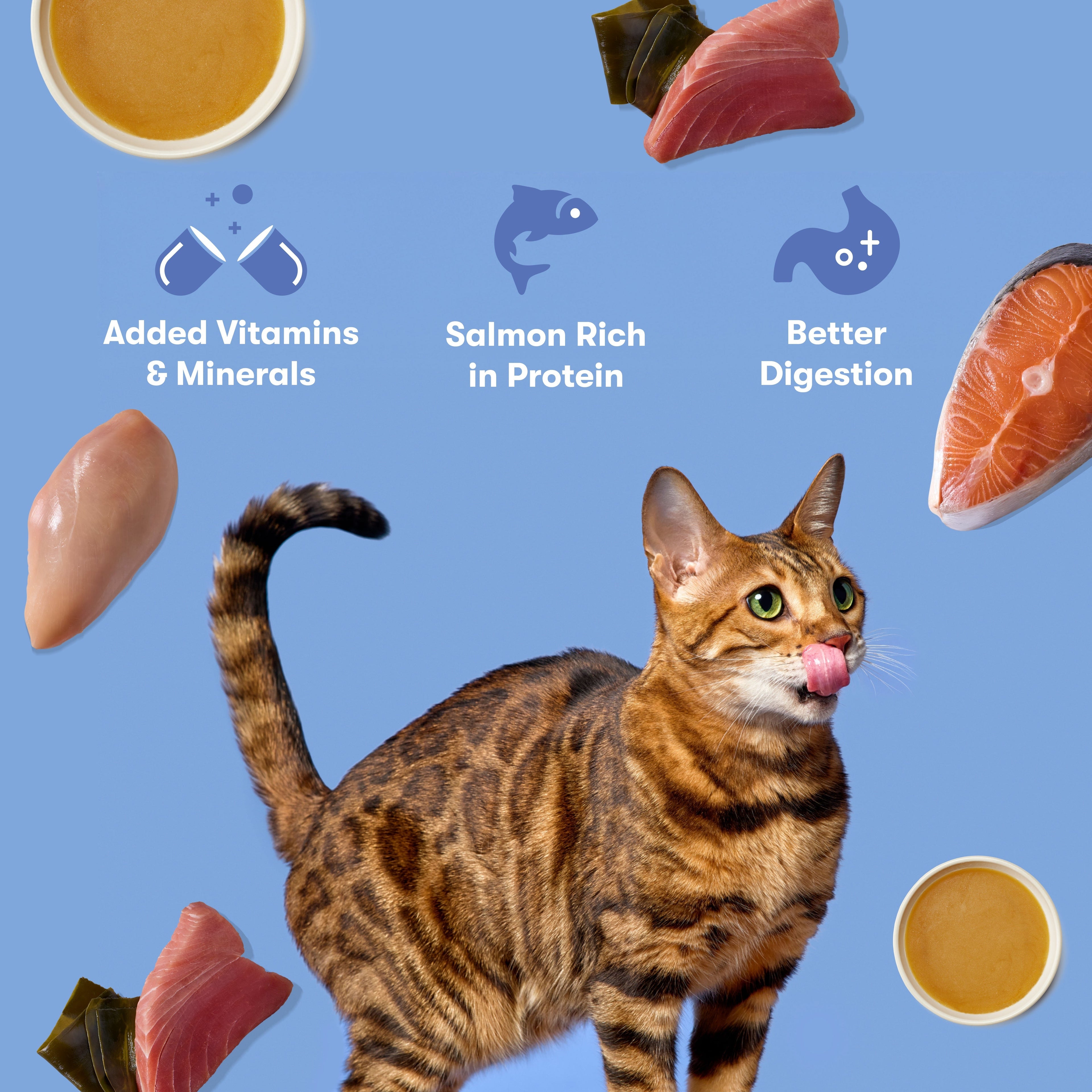 Tuna & Salmon Cat Paté