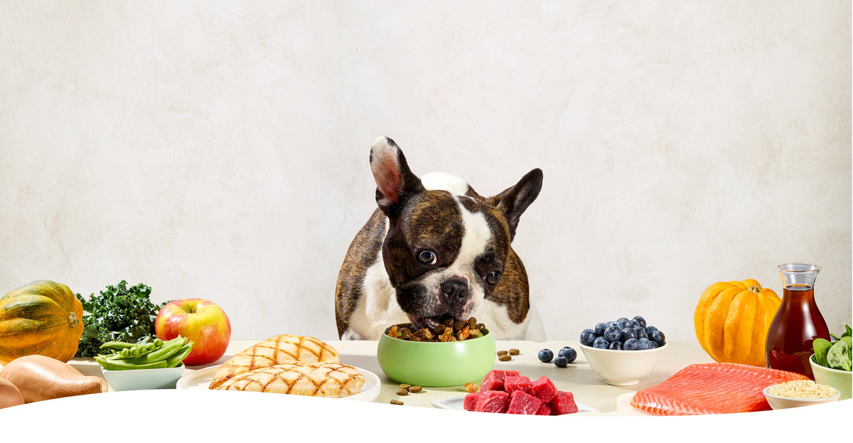 liuqs_job_102_home_01_956a234769.webp