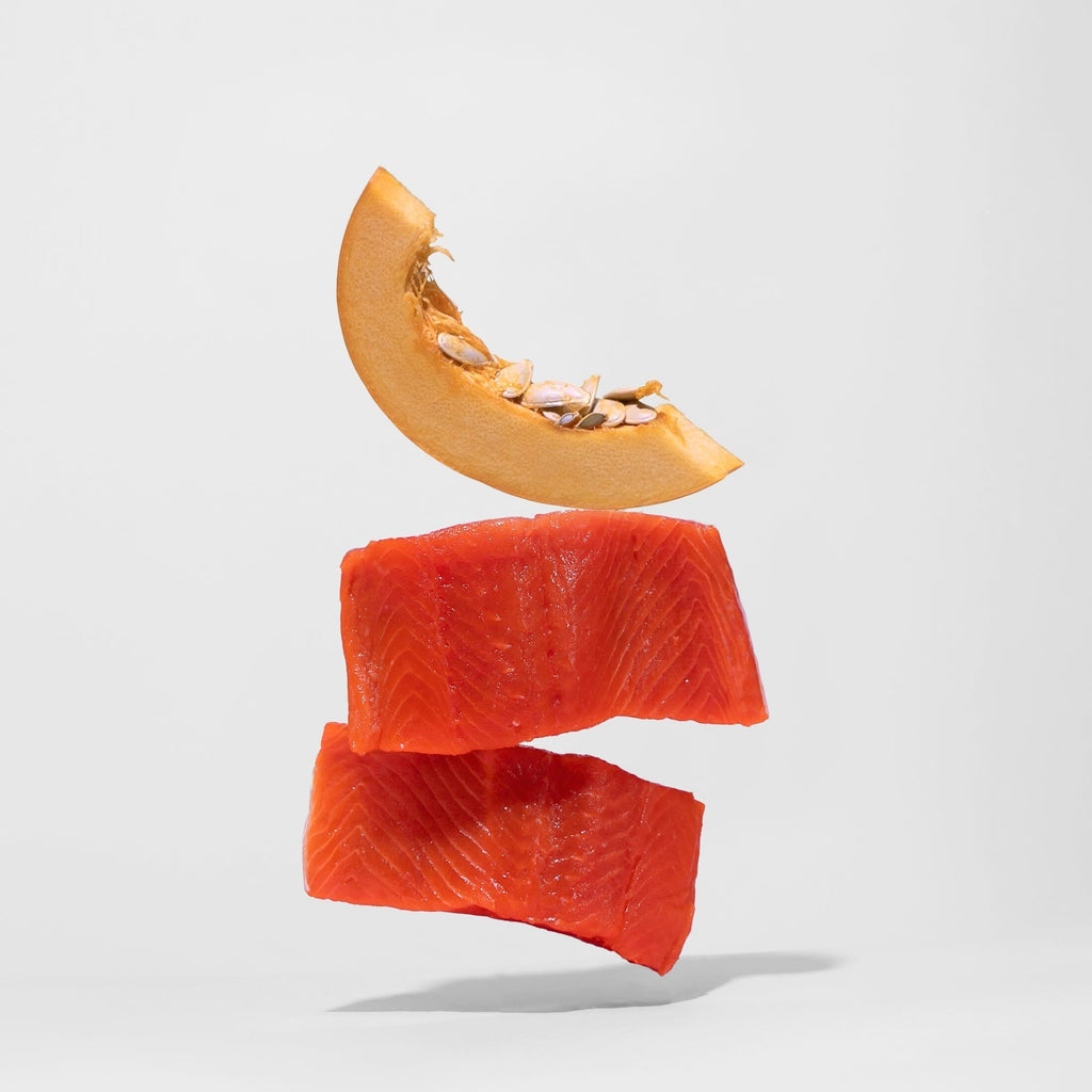 Salmon Jerky Tenders
