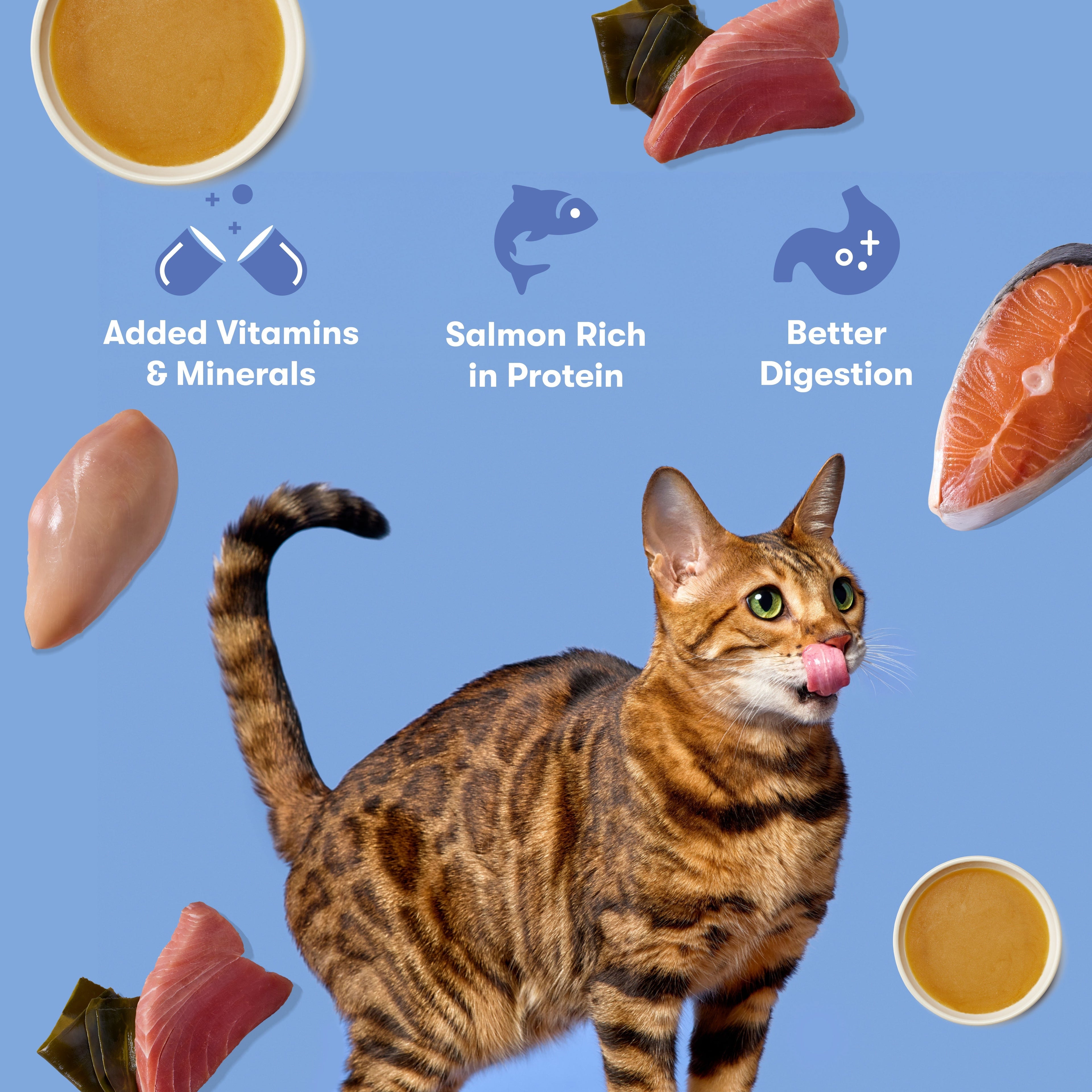 Tuna & Salmon Shreds in Bone Broth