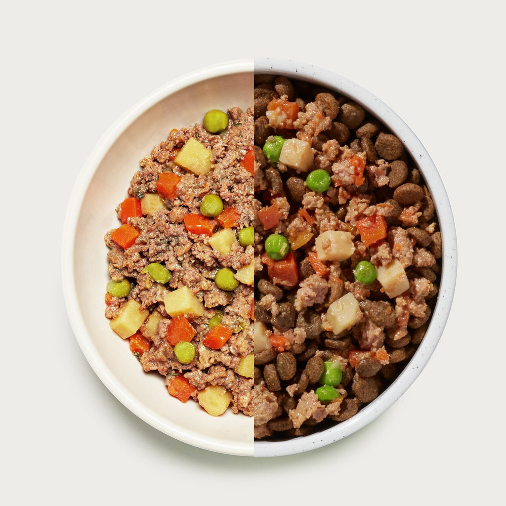 Homemades Wet Dog Food Sampler Pack