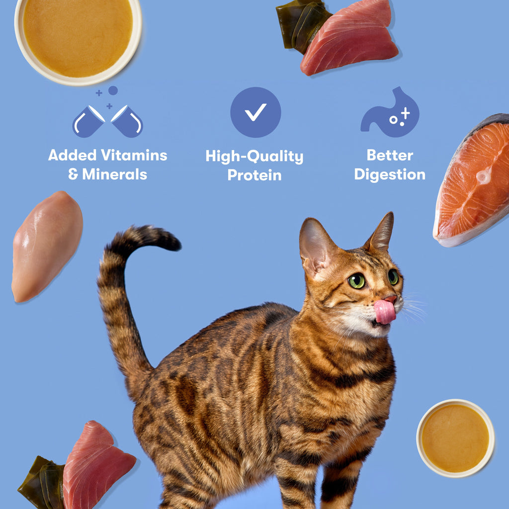 Variety Pack Cat Paté