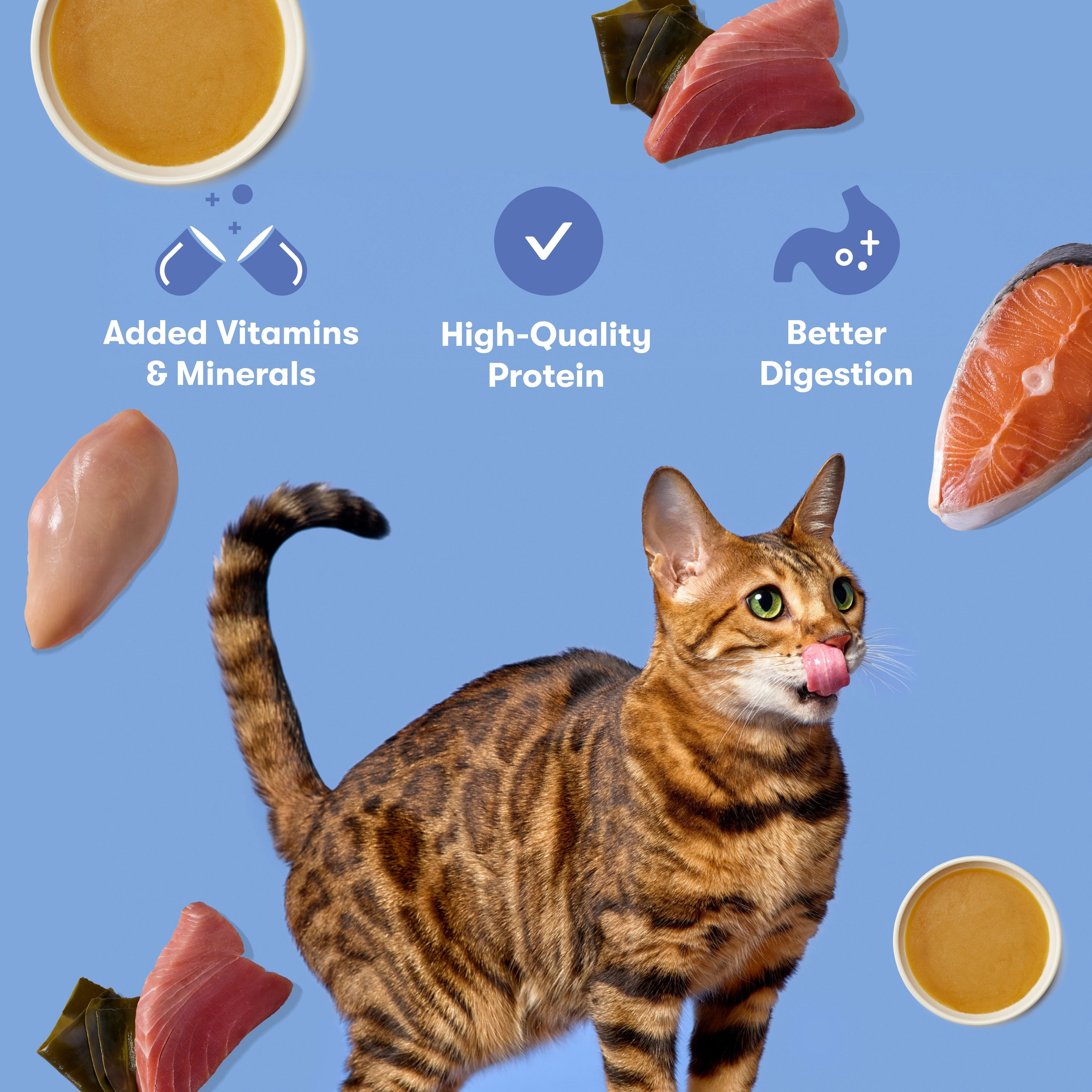 Variety Pack Cat Paté