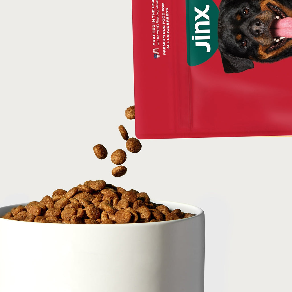 Large Breed Grass-Fed Beef Dog Food