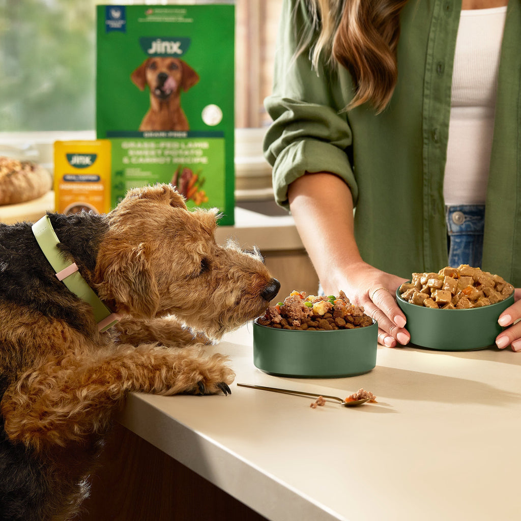 Grass-Fed Lamb Dog Food