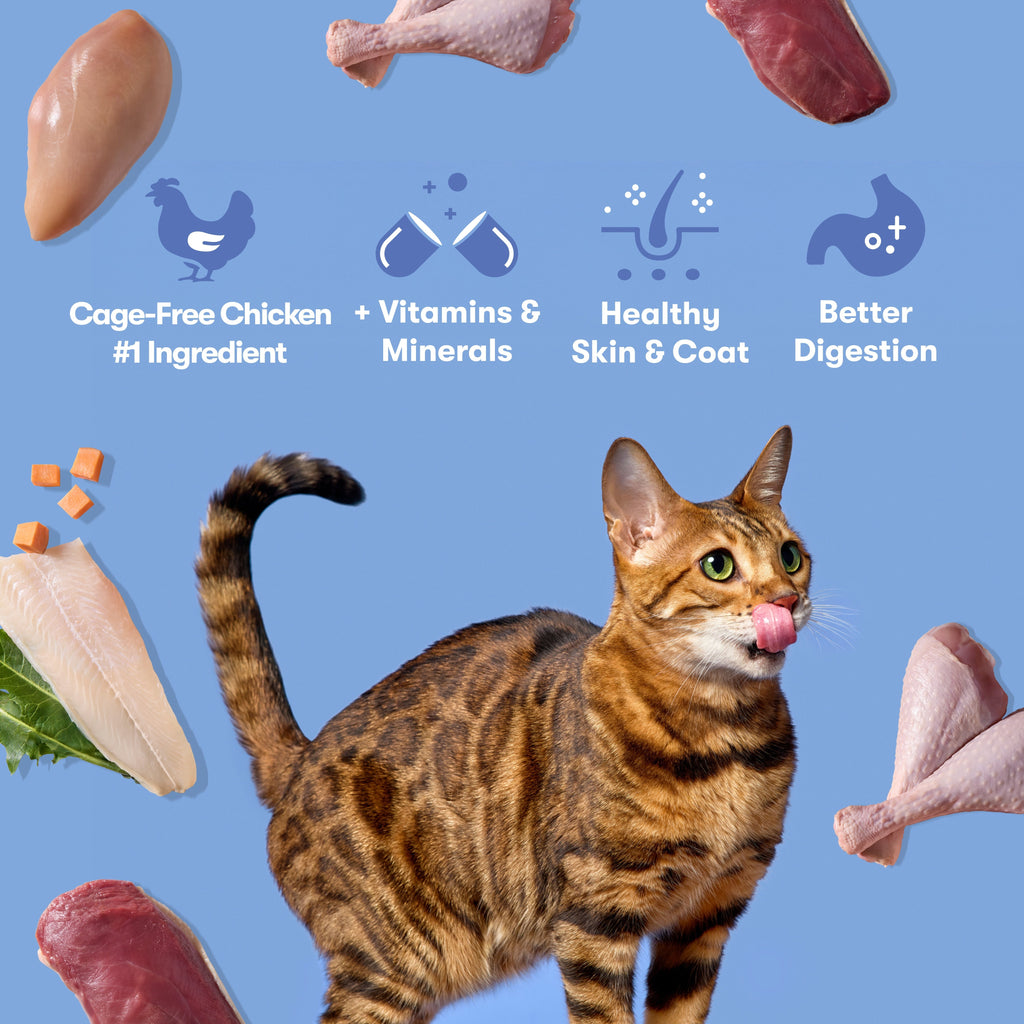 14lb Cage-Free Chicken, Turkey, & Duck Dry Cat Food