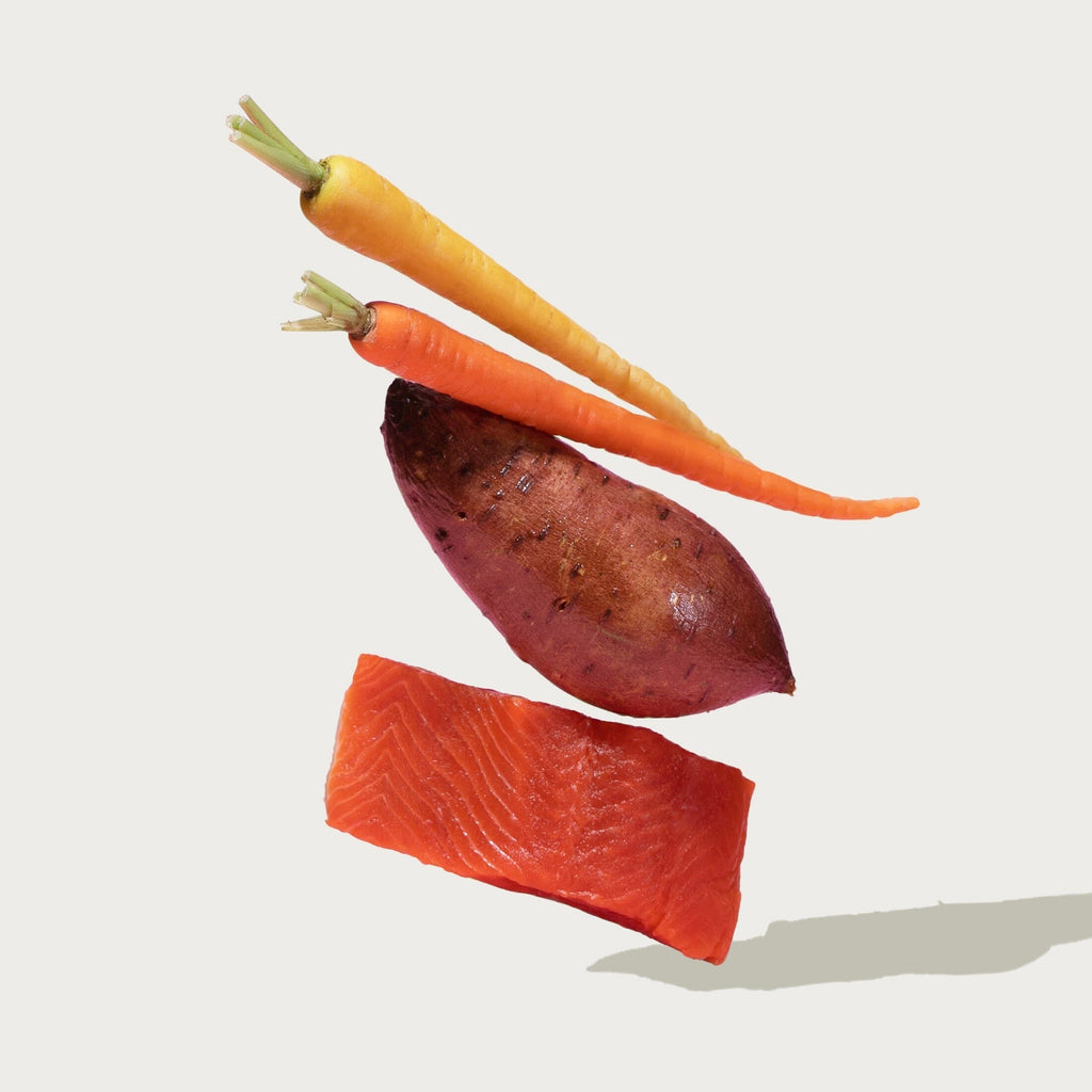 Grain-Free Salmon Paté Wet Dog Food